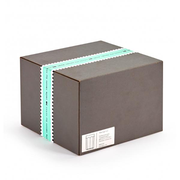 Glass Green L Fish & Fish (set of 4)